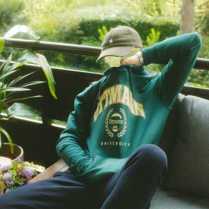 Person in grünem Ottmann Pullover sitzend auf Terrasse mit Pflanzen