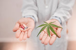 Cannabis gegen Schmerzen: Cannabinoide als alternative Behandlung?